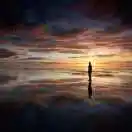 王先生
