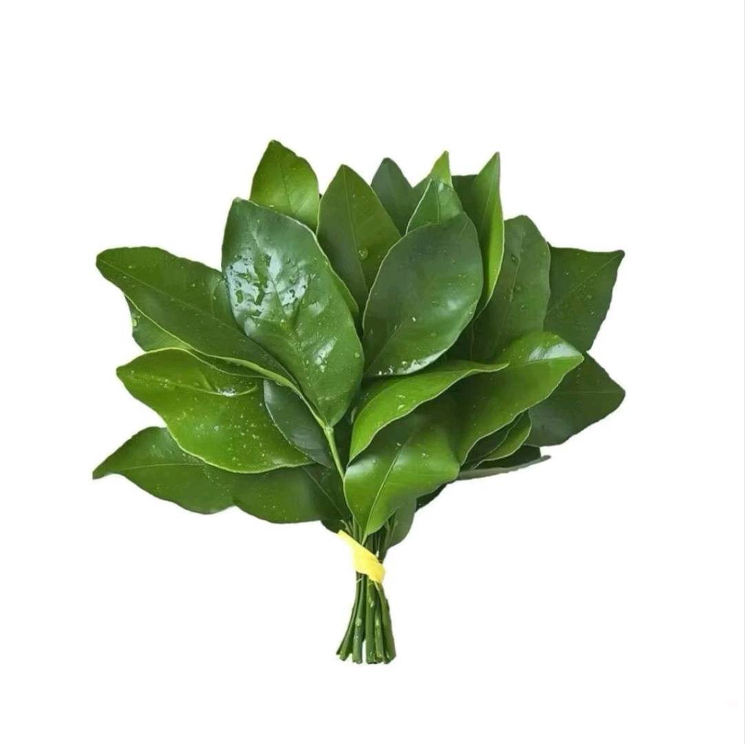 薛松其他供需全国招募日结！一天*个人工作室都可以做！