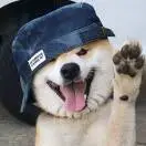 u客直谈李先生
