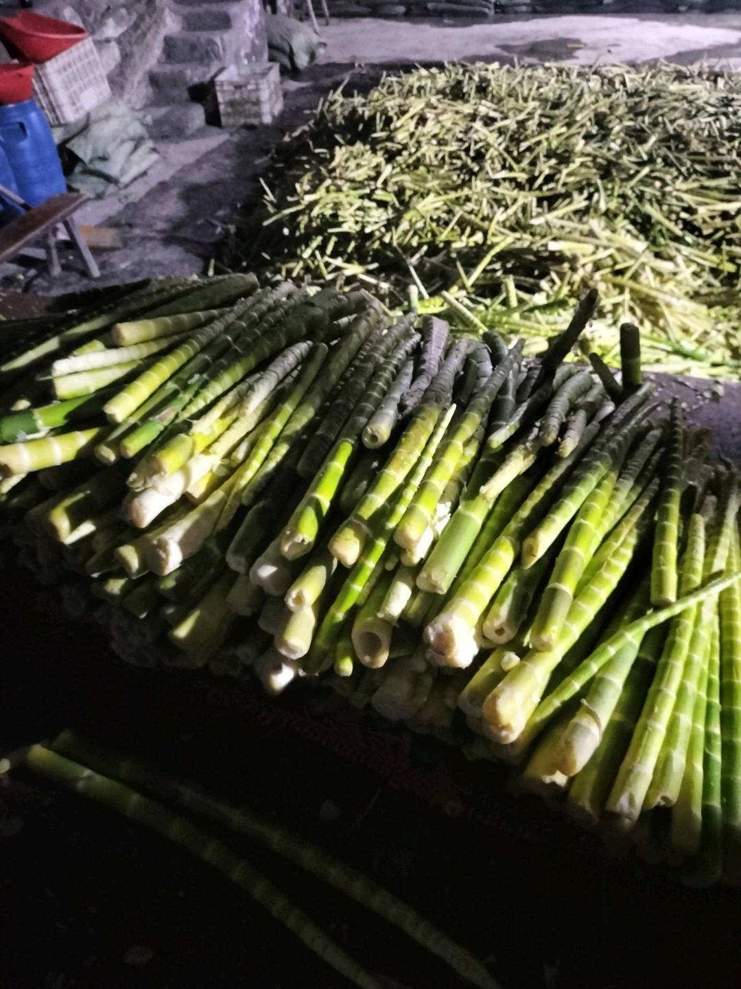 梁波品牌货源