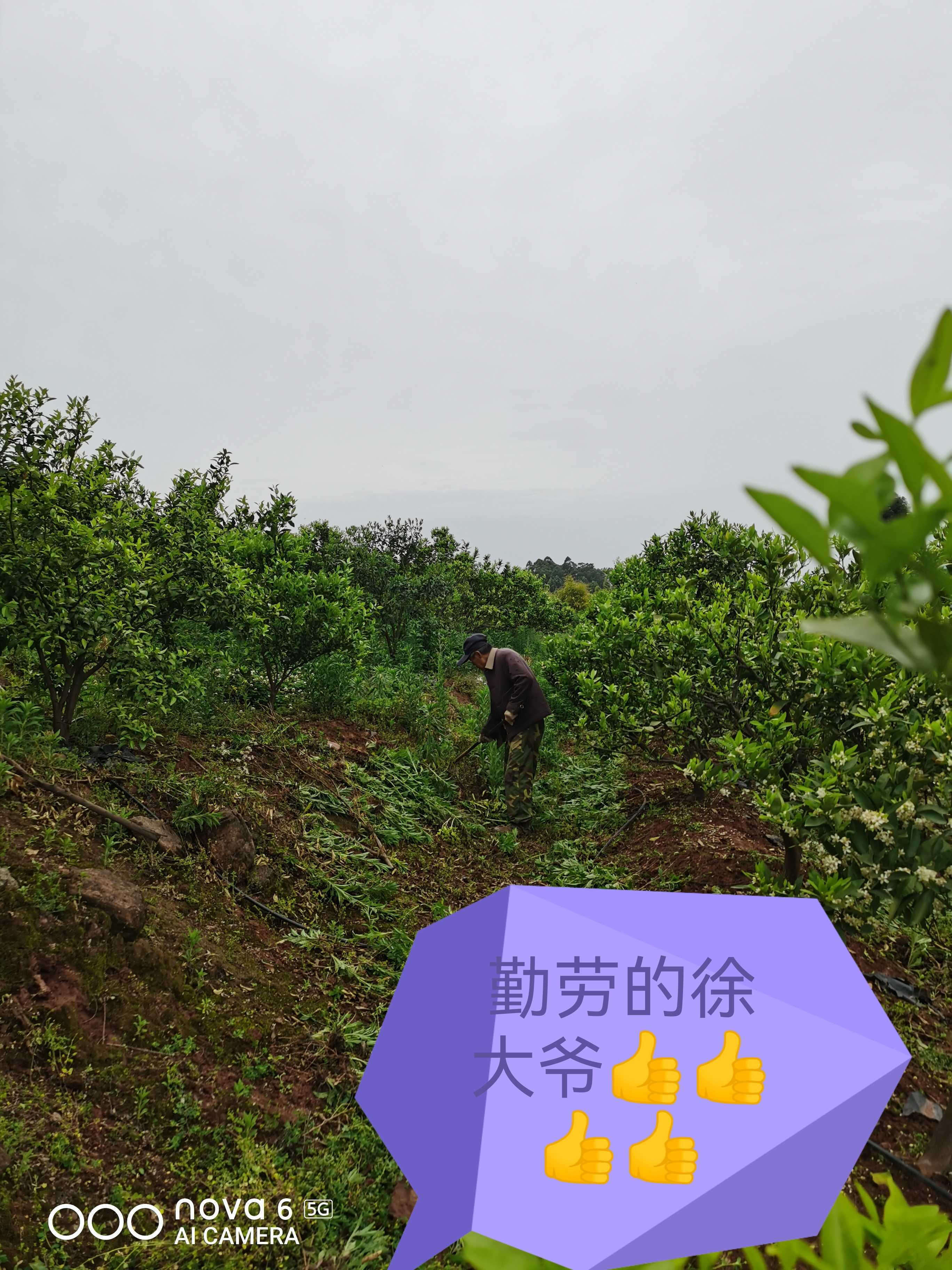 江晓艳找合伙人江女士，寻找合作伙伴