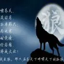 刘春强
