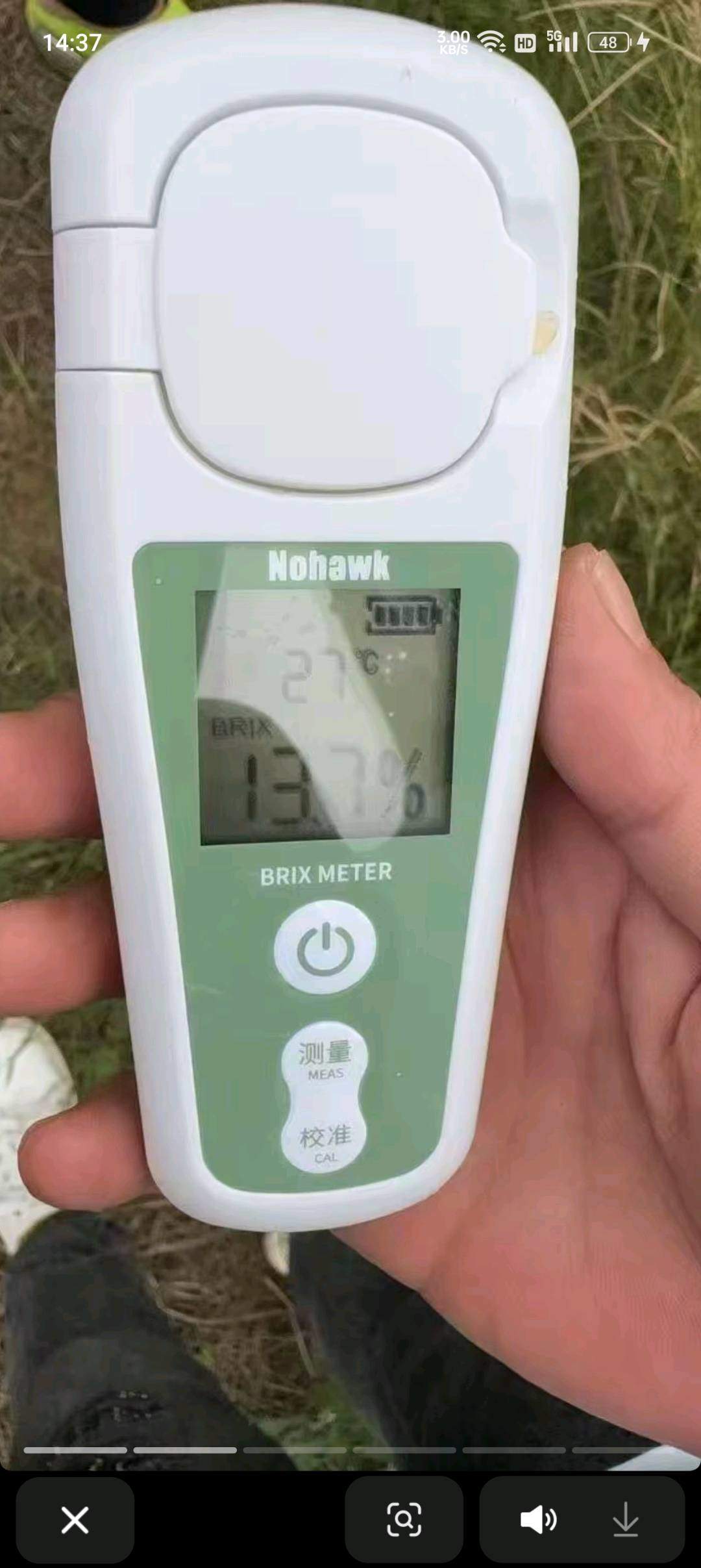 张波品牌货源爱媛果冻橙  耙耙柑产地一手货源