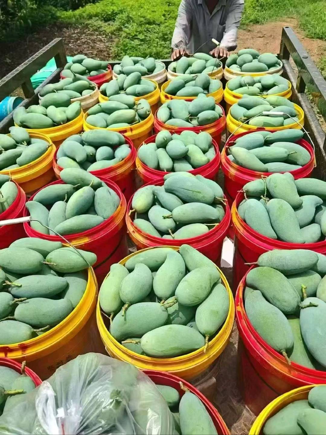赖先生品牌货源