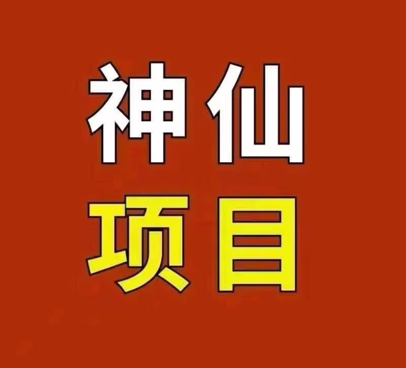 陈先生其他供需虚拟产品，无需物流，无需压货见效快，3-7天起店，看到利润
