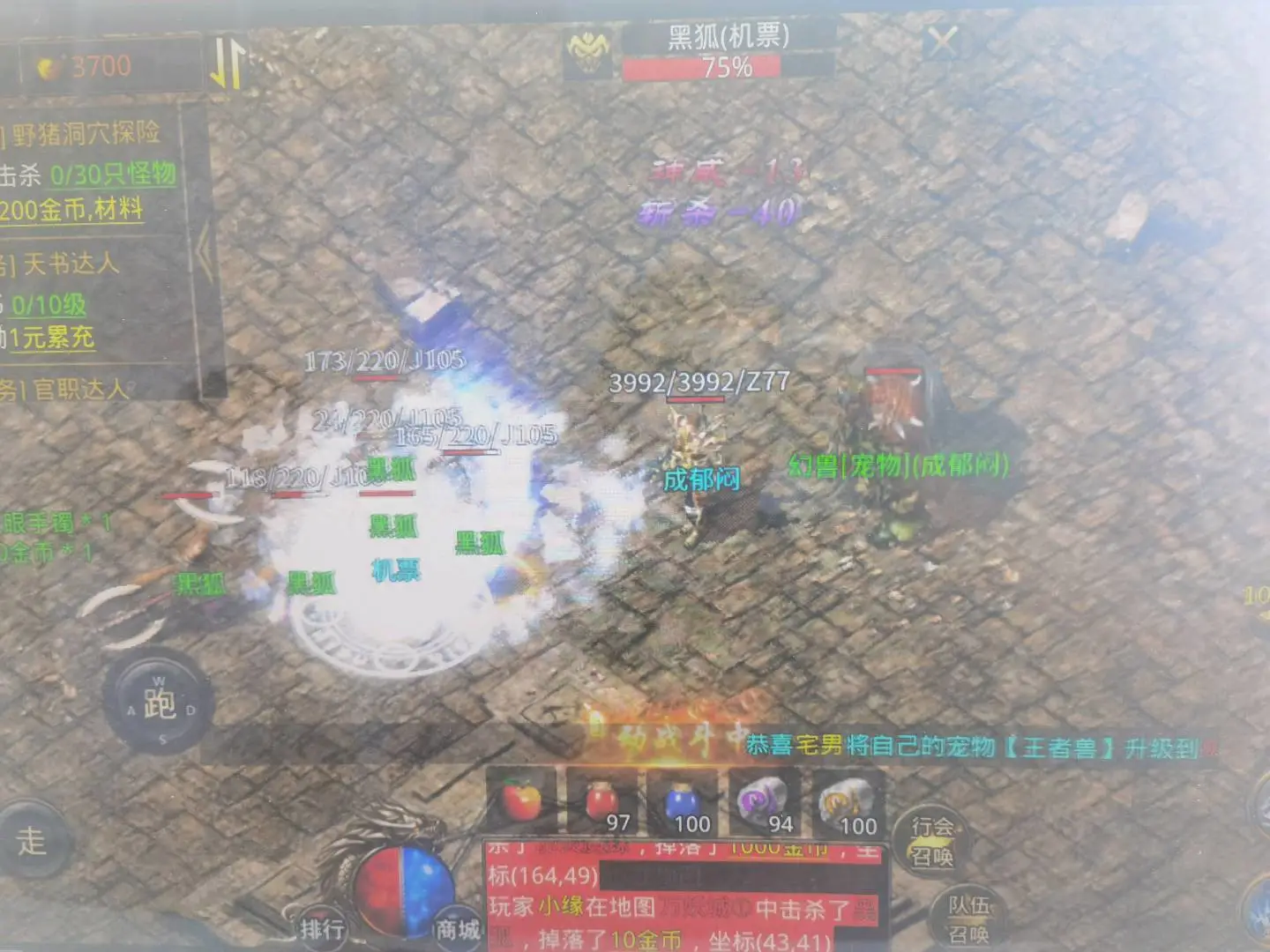 杨先生