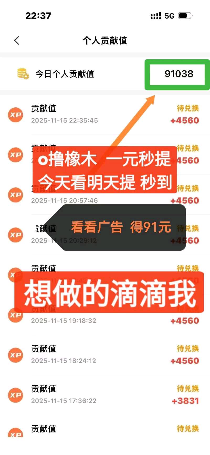 阳女士找合伙人