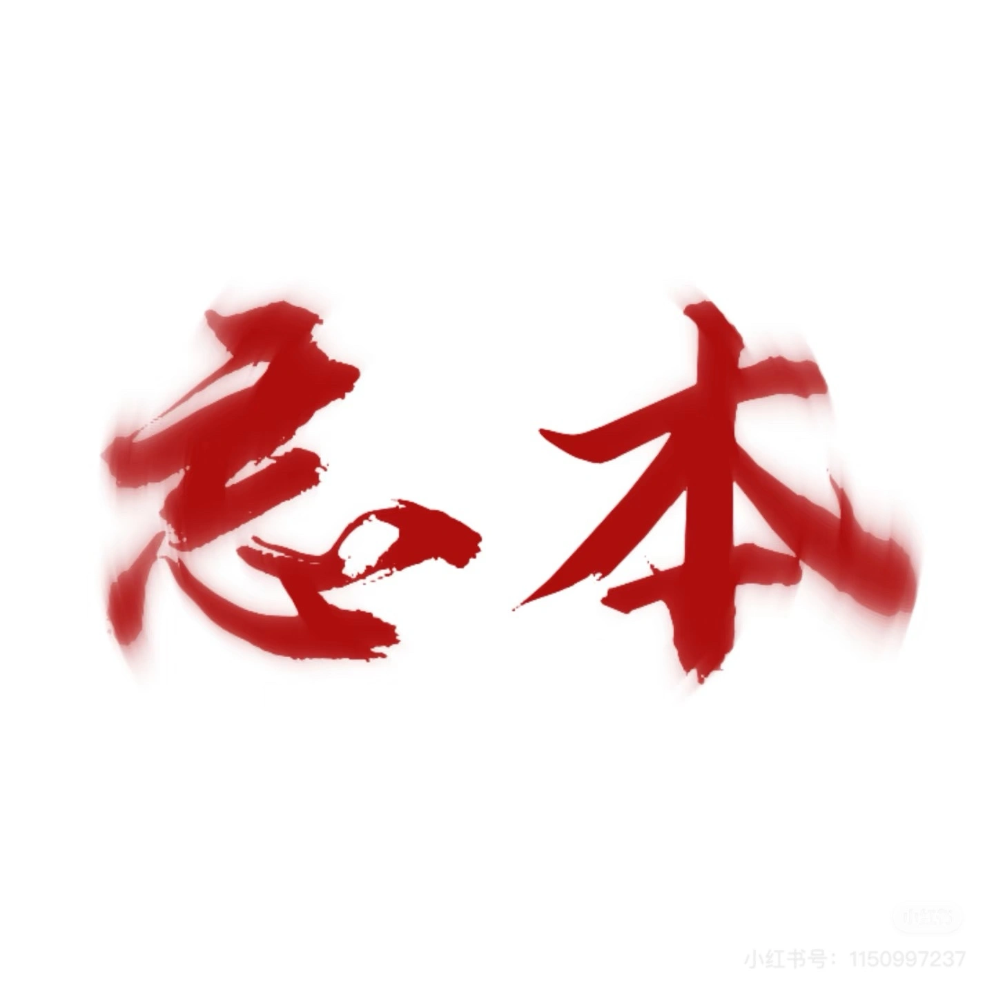 鲁先生