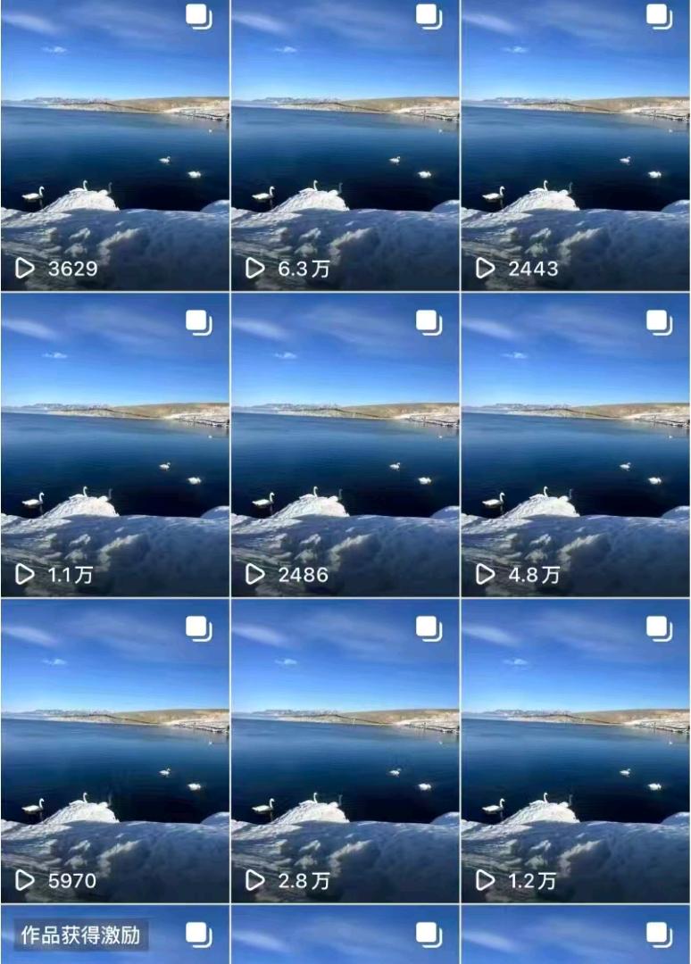 蔡先生找合伙人