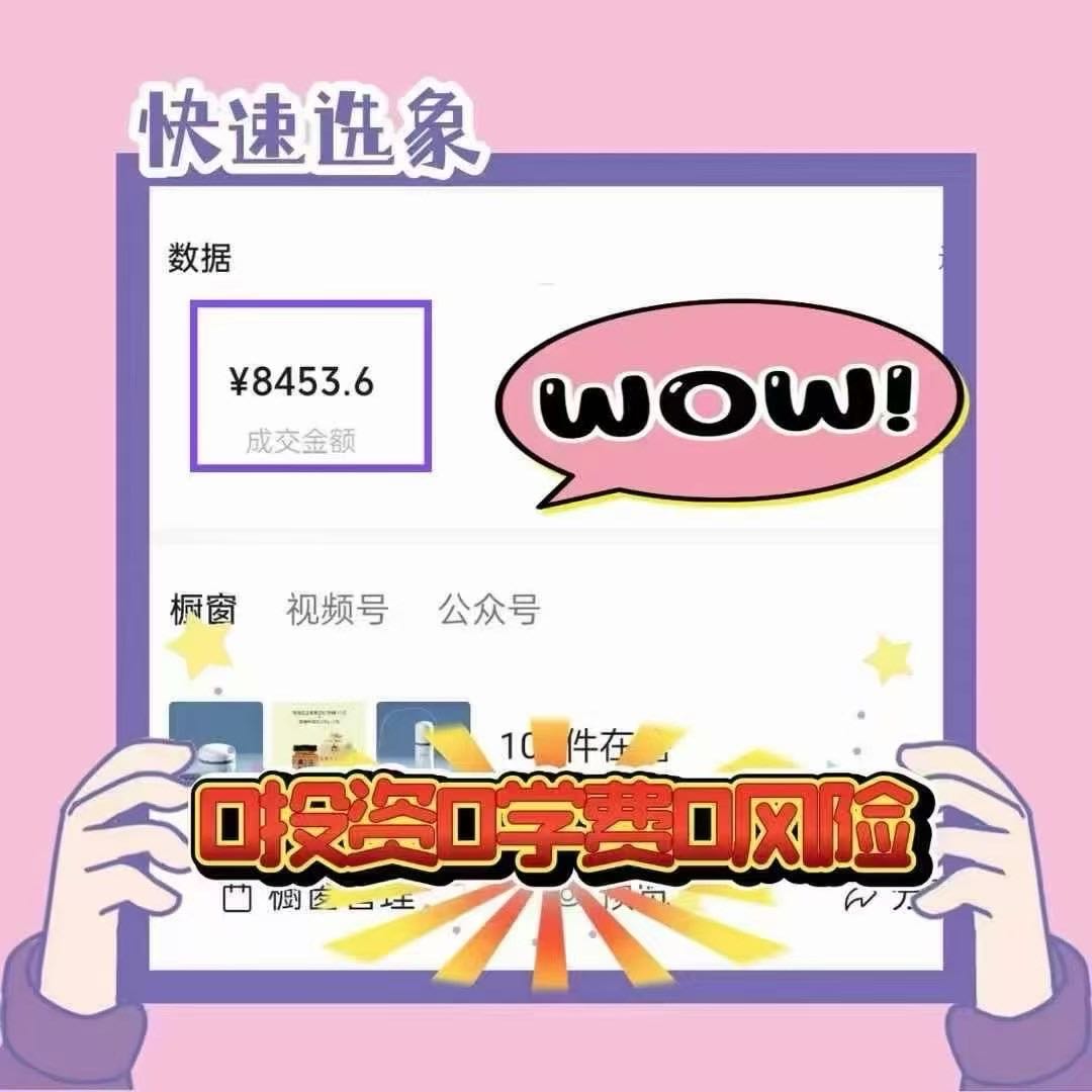 莫炳胜找合伙人九鼎私域运营流量变现+云选象电商