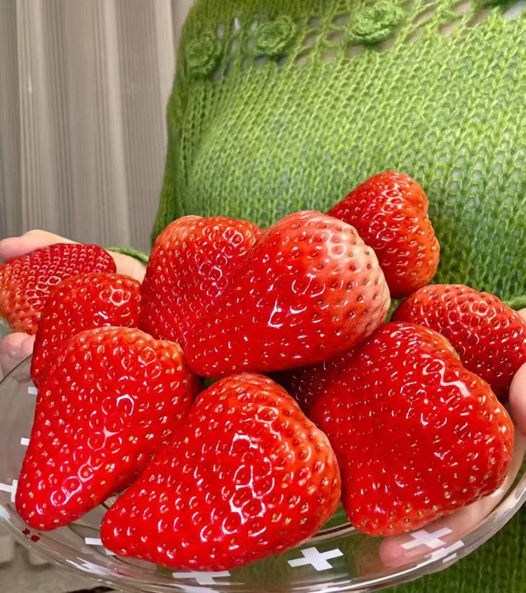 李长城品牌货源辽宁丹东东港九九草莓招全国合作伙伴