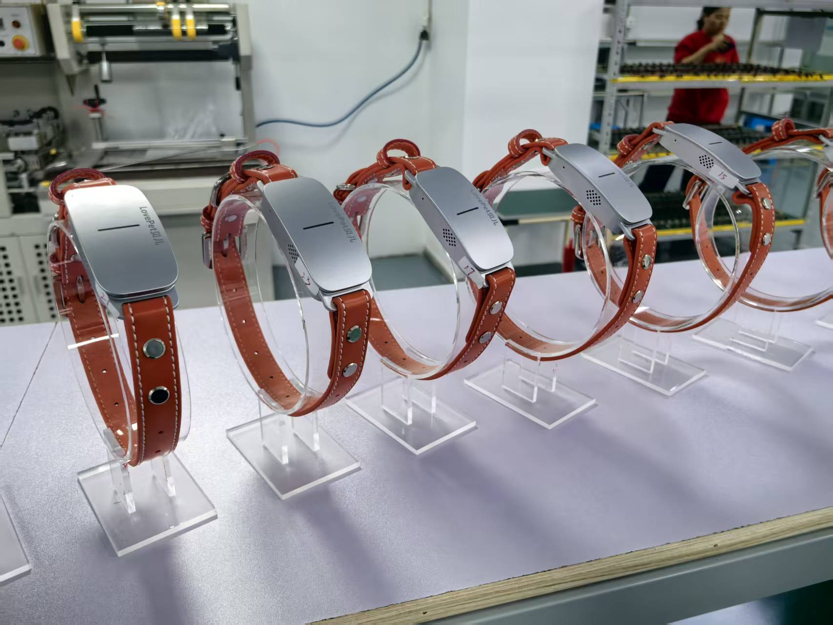 姚长江找合伙人单身情绪经济 人和宠物无障碍交流项圈工程落地 招募100合伙人