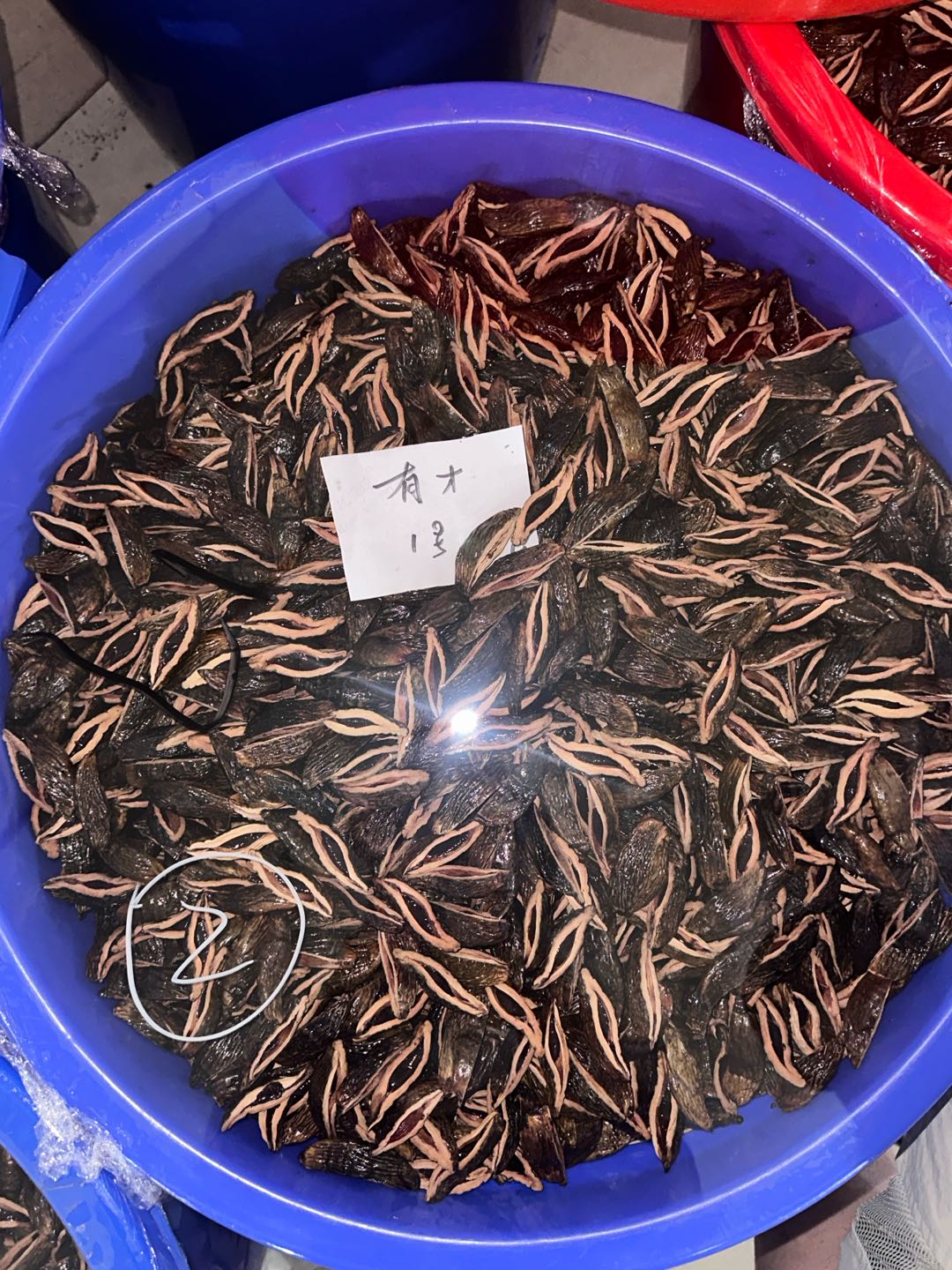 王女士品牌货源湘潭槟榔源头工厂｜20多种口味，支持贴牌供货，诚寻全国商户代理合作