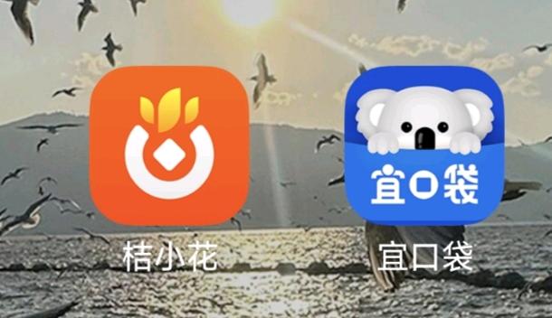 刘春龙地推项目桔小花宜口袋拉新首单180/160复购75/80 长期可做 稳定项目