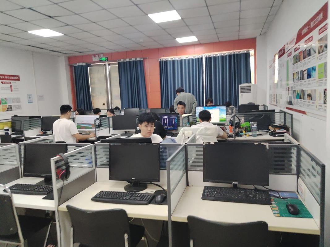 闫先生全球寻合伙人，海外问卷调查 新模式 免费教学搭建 不收学费 分佣  