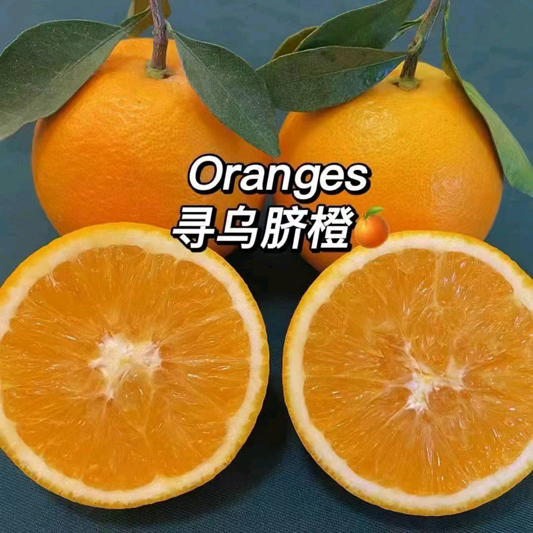 刘丁娣找合伙人赣南脐橙代理
