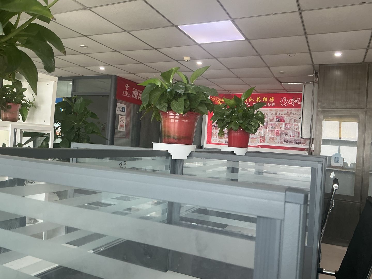 仝瑞龙其他供需运营商授权项目，资质实地可验，350/单周结加长期提成，无投入启动