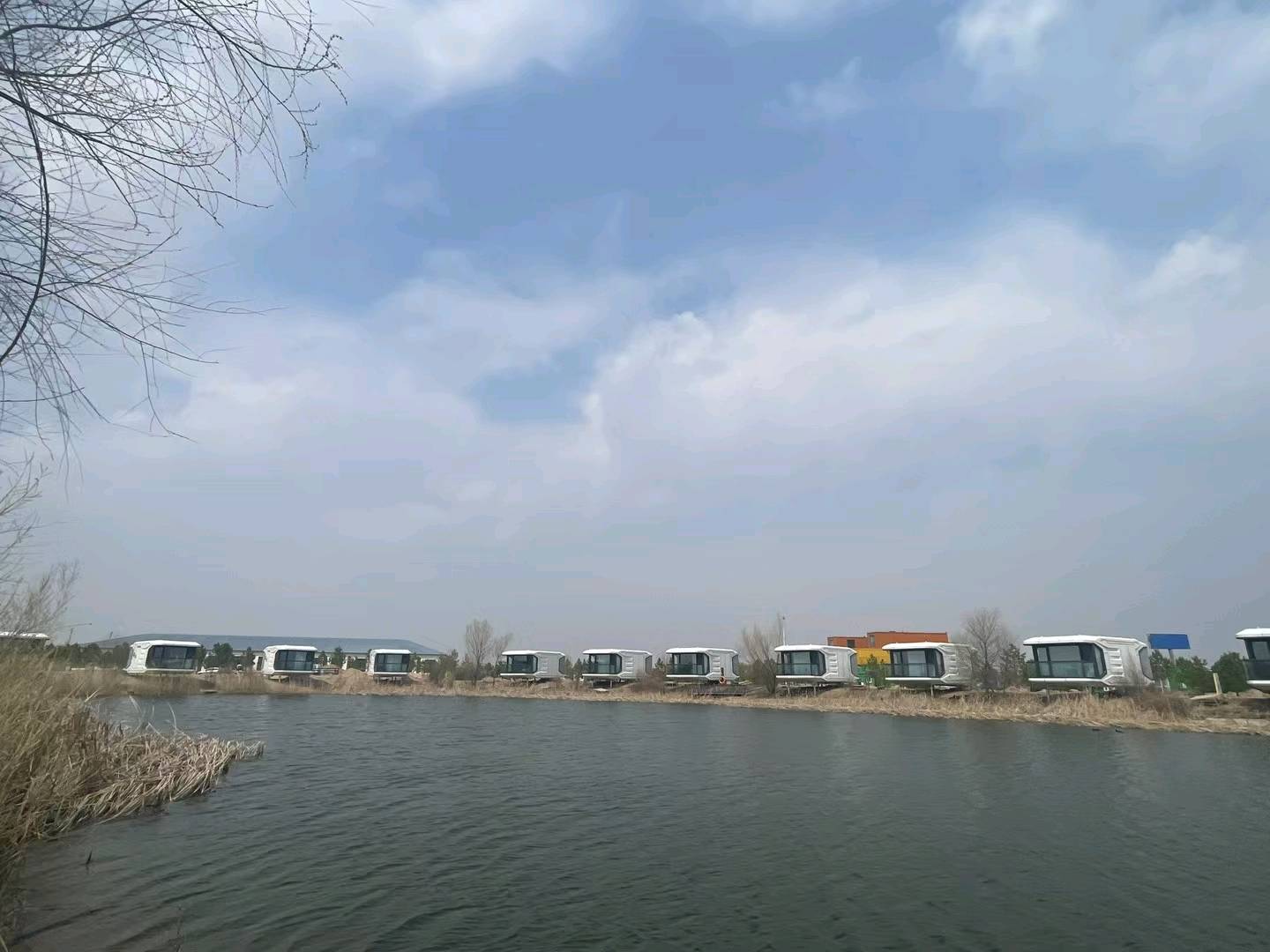 齐花旭找合伙人