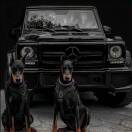 u客直谈实名认证张磊