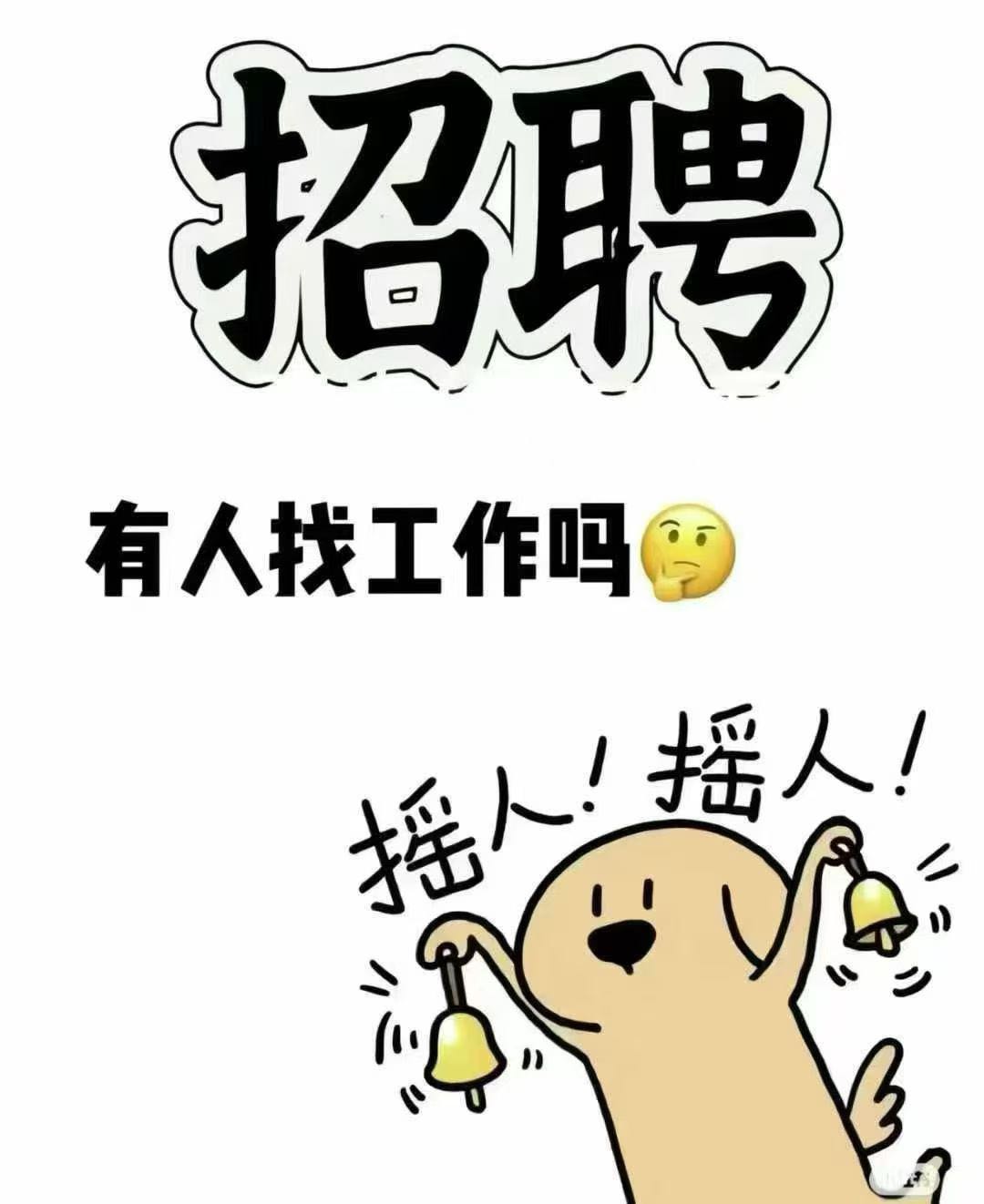 杨先生其他供需