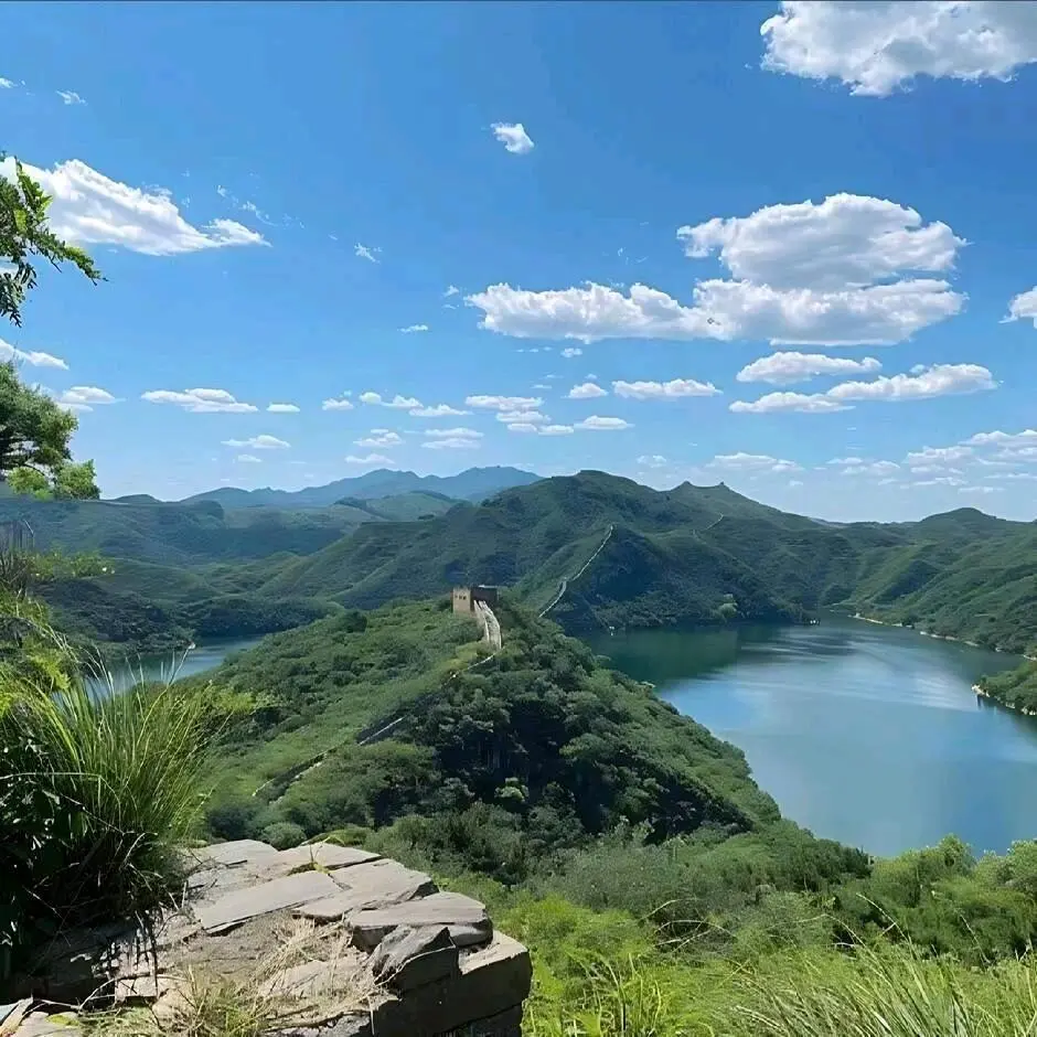 李先生