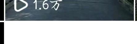 杨萌其他供需