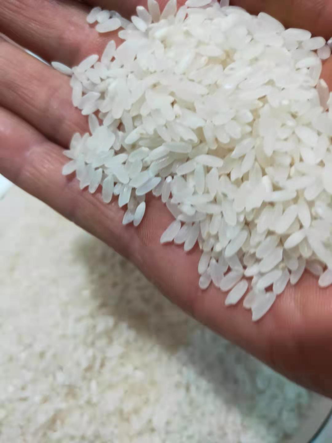 姜先生公司采购单位福利分销渠道！看过来