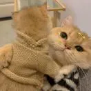 李先生