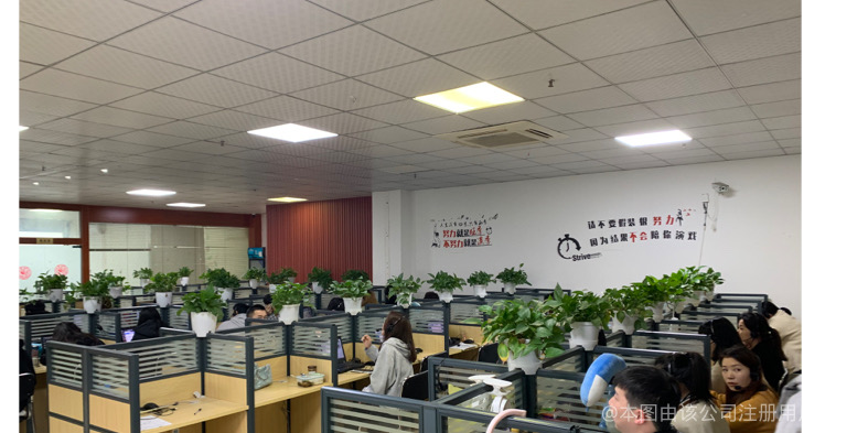 张先生推广团队