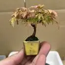 u客直谈实名认证赖嘉明