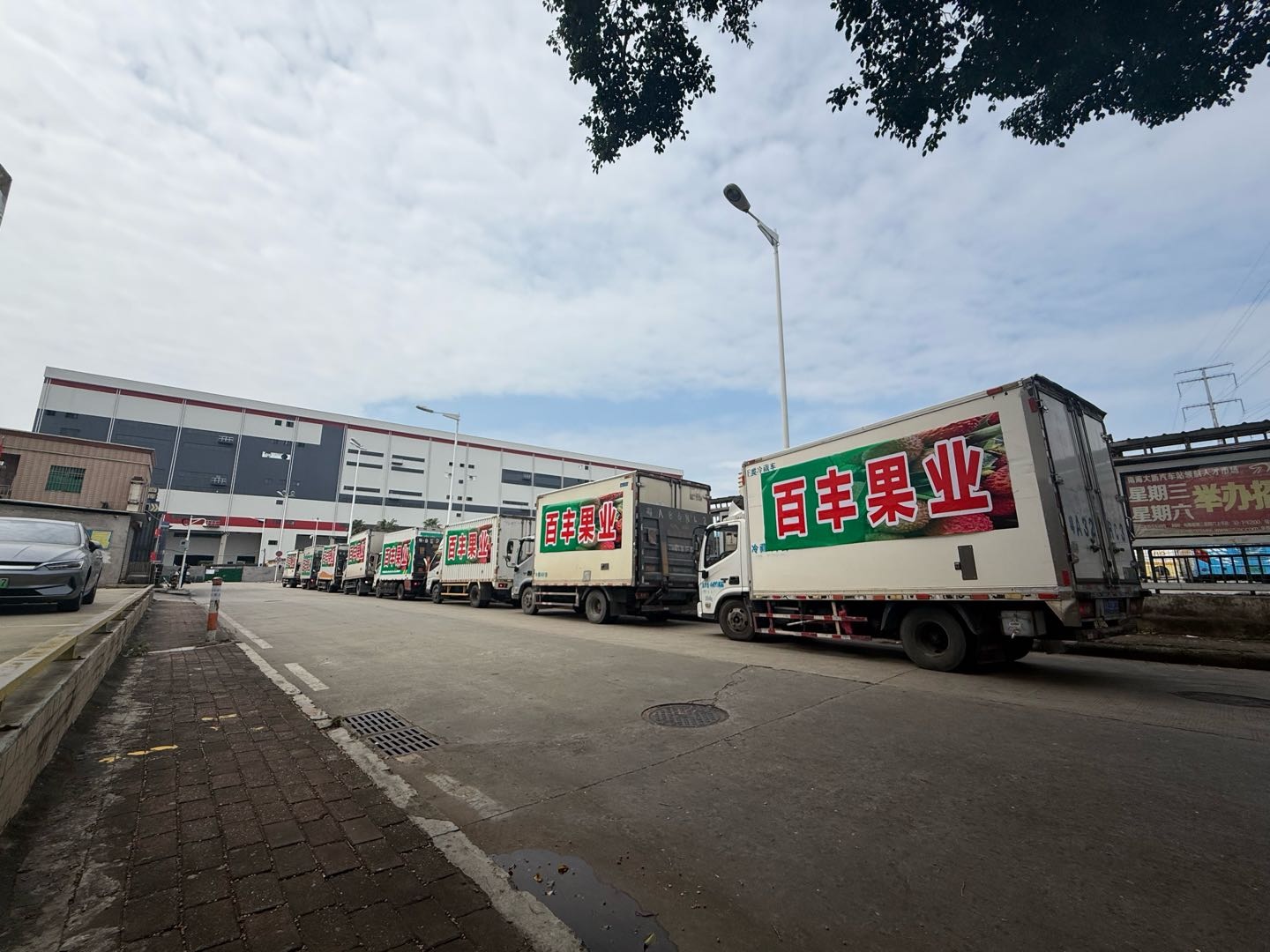 张先生全国18家智能分拣厂，提供轻资产水果供应链合作项目