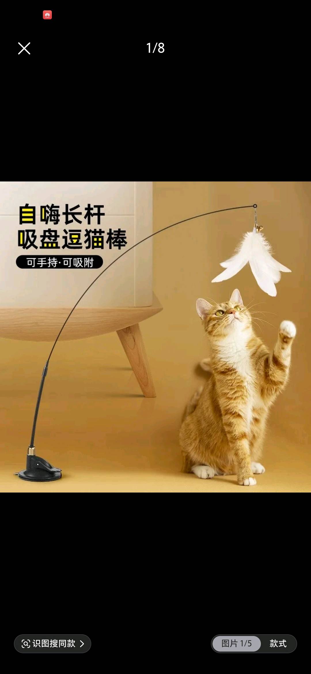 张浩锋其他供需宠物用品AI短视频带货