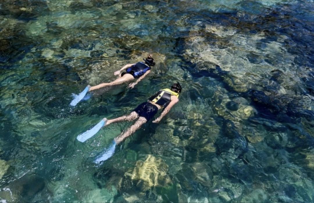 王先生旅游达人招募，国内外免费旅游达人招募