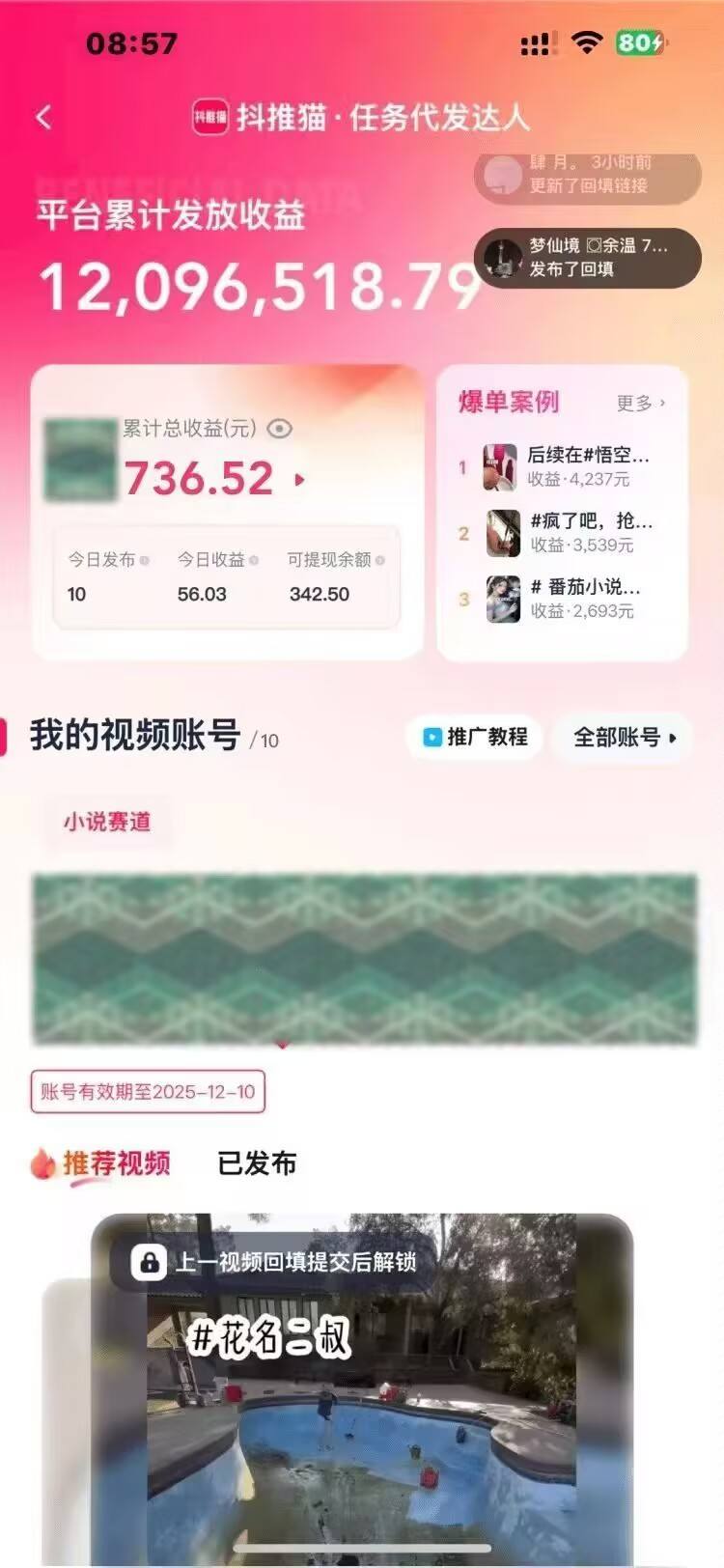 仲先生抖推猫项目，个人，管道收益，日结，诚邀优质团队长  