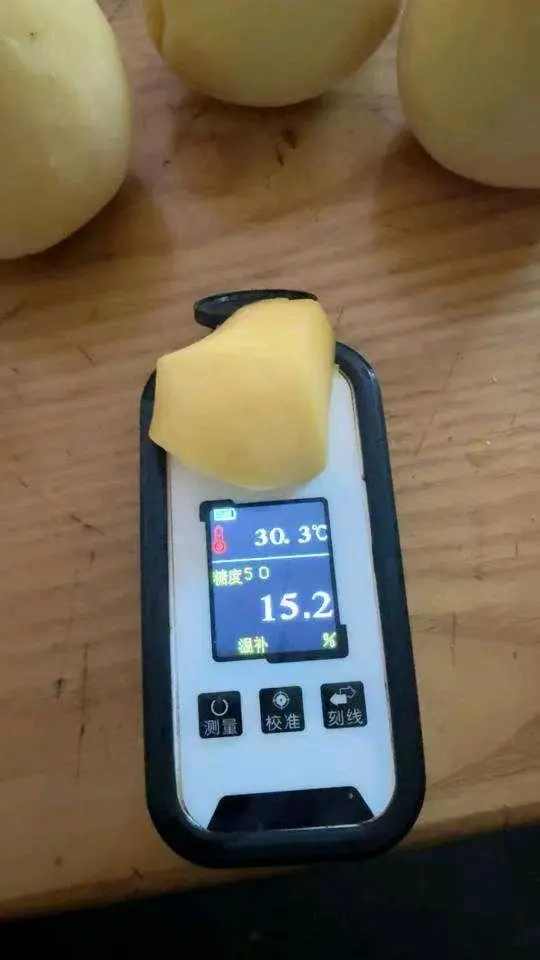 鞠先生品牌货源