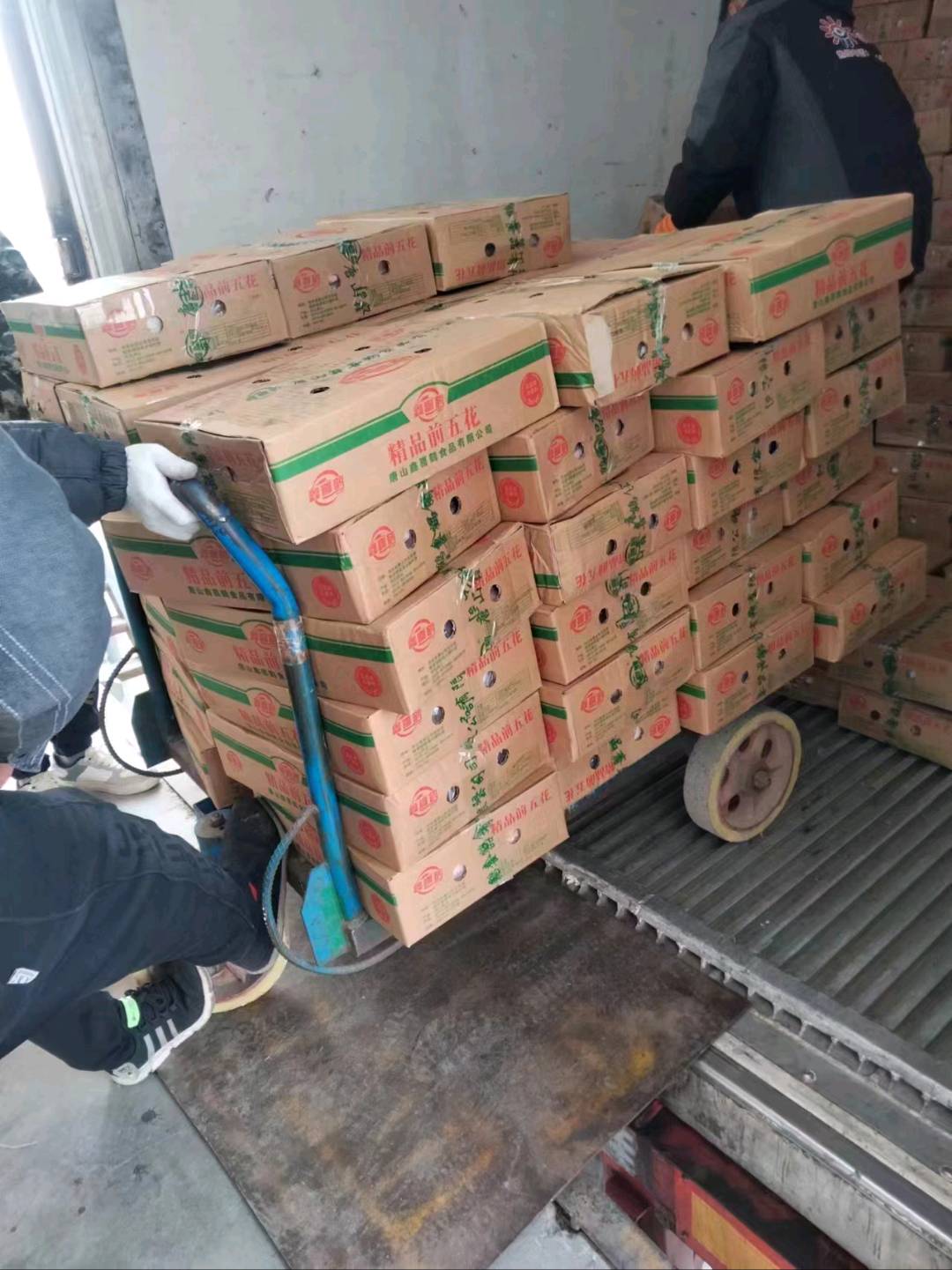 王先生品牌货源