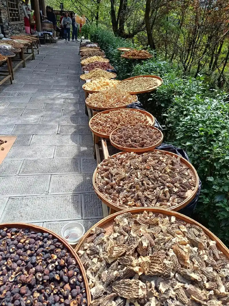 盛品朝找合伙人