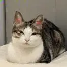 u客直谈实名认证李安树