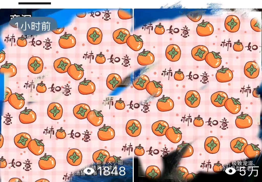 刘女士找合伙人小说项目，一部手机就可以做，简单操作，独立后台，时间自由，每天发发视频