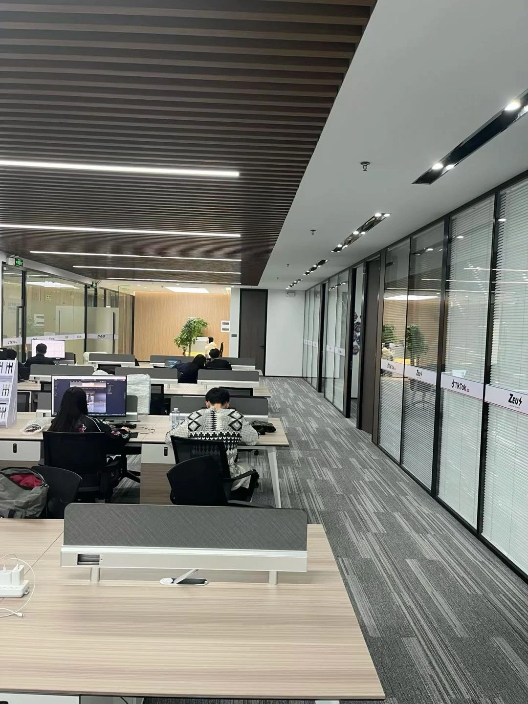 沈孝健其他供需三角洲带肝 日入*