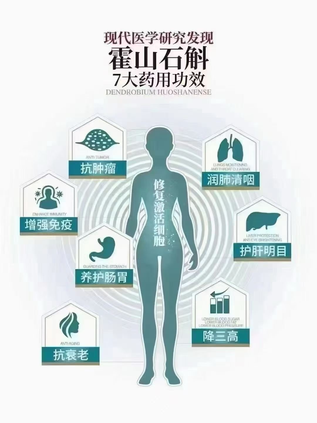 杜小计品牌货源原产地品牌石斛,原产地石斛厂家直供,诚招全国代理直播带货合作