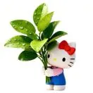 u客直谈实名认证敖丽娟