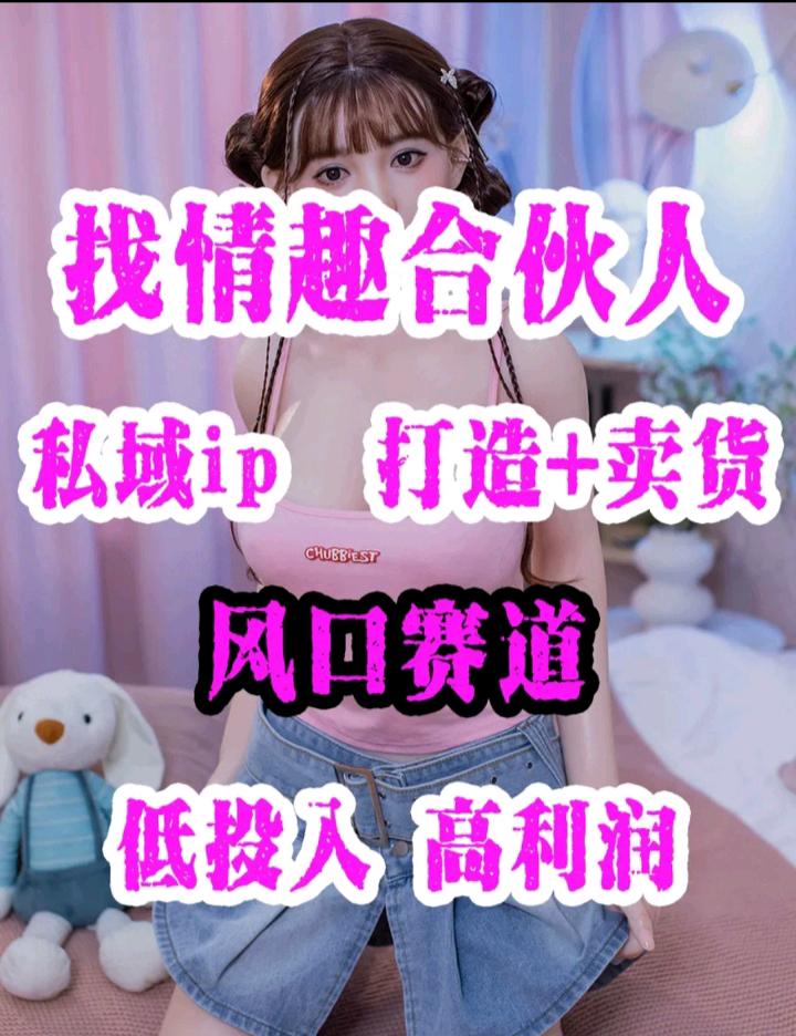 文先生找合伙人