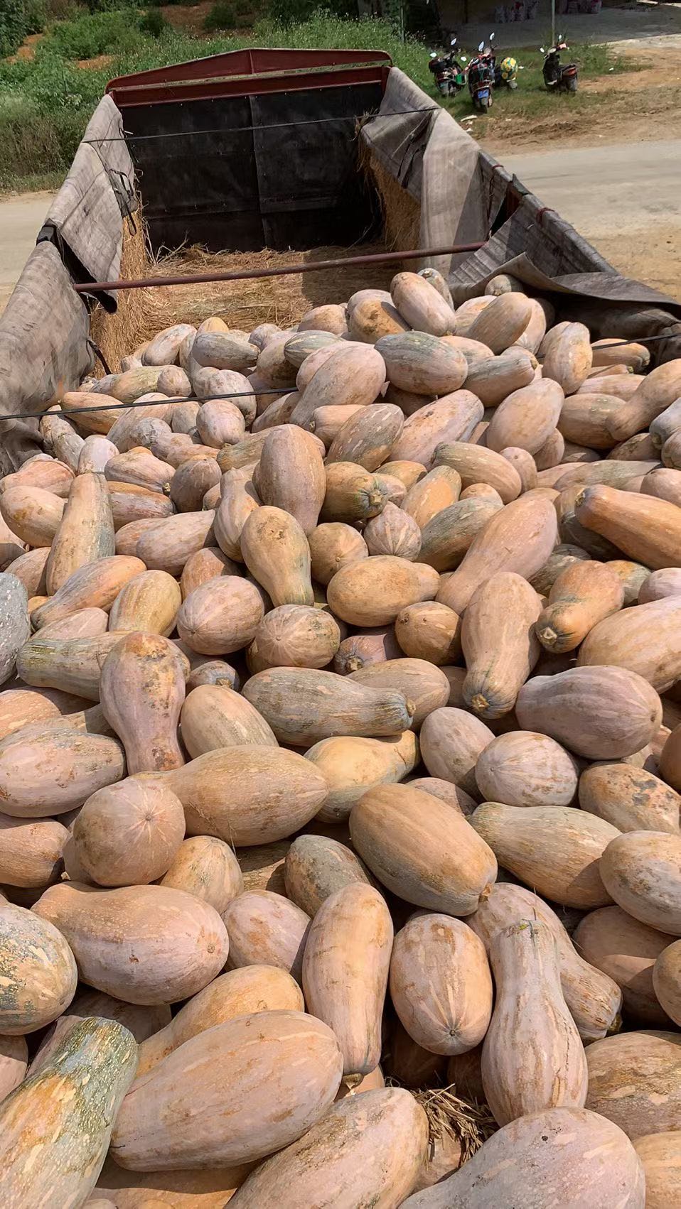 黄辉强品牌货源大量农产品货源基地，代办代收