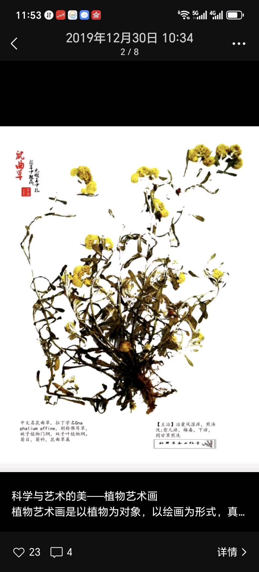 庄睿合作经营中草药艺术标本