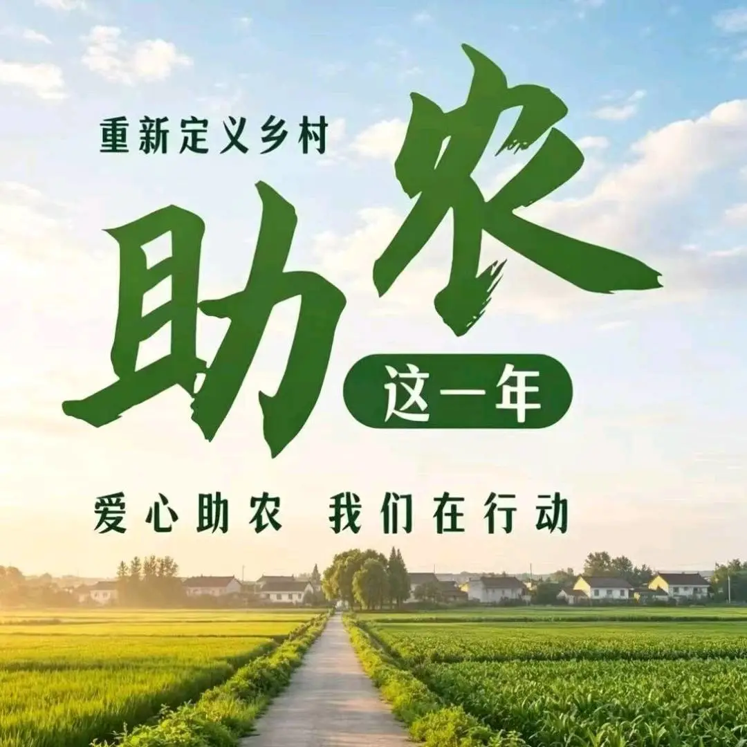 李心杰