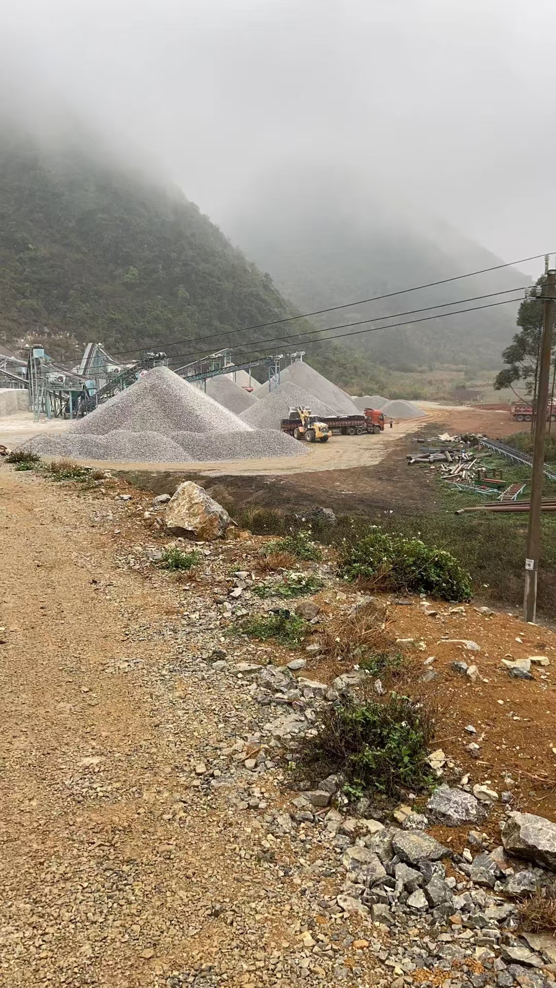 黎女士其他供需