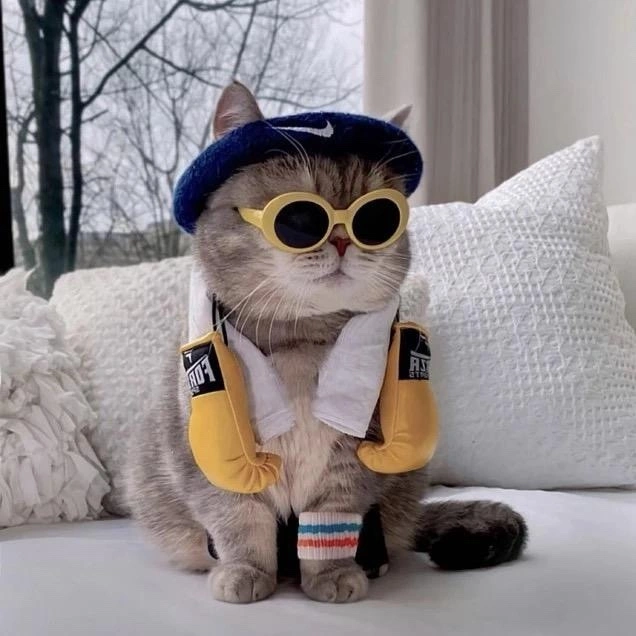 u客直谈实名认证魏明友