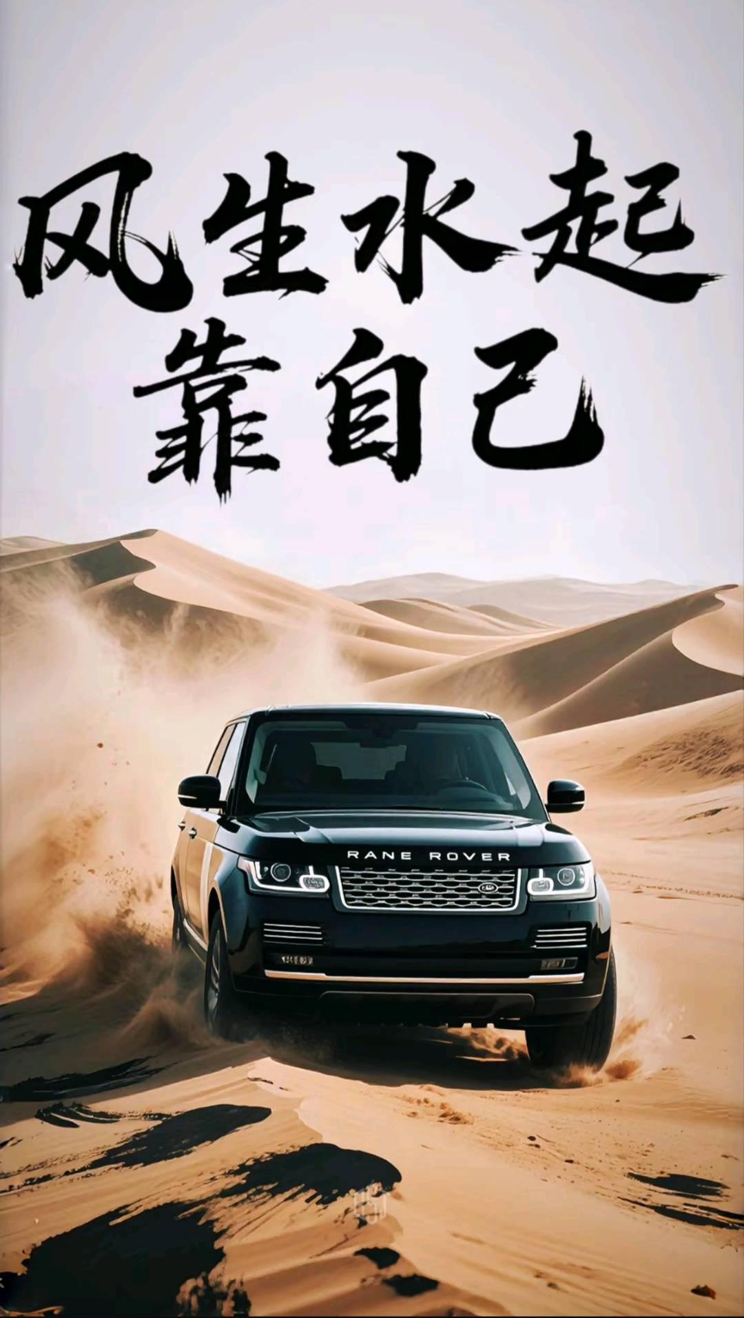 杨先生找合伙人