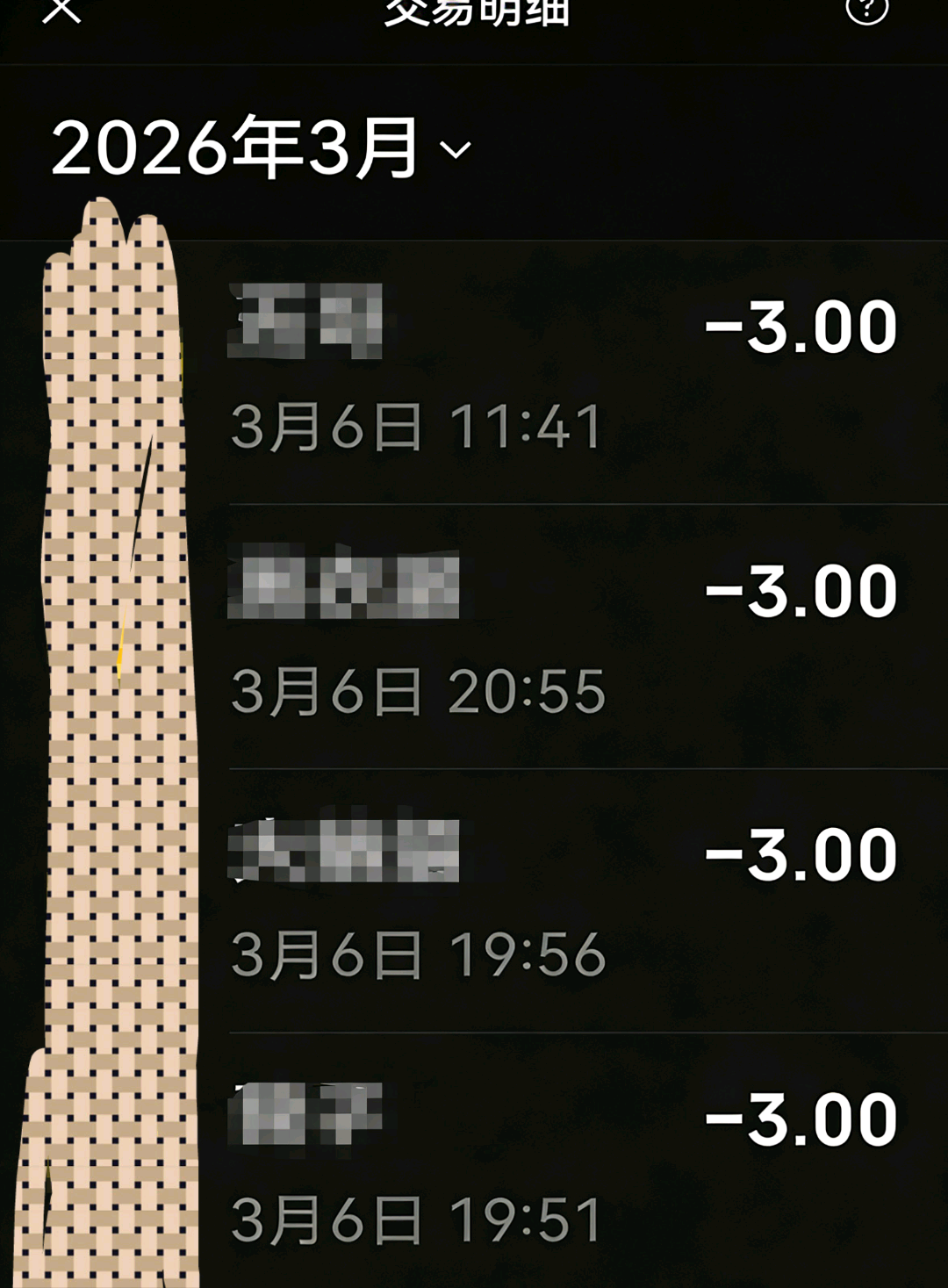 张子豪地推项目